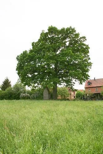 Apartment Ferienwohnung Kaim Prichsenstadt